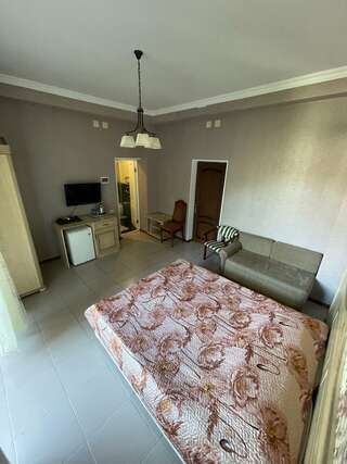 Апартаменты Stone House Хоста Двухместный номер Делюкс с 1 кроватью или 2 отдельными кроватями и балконом-6